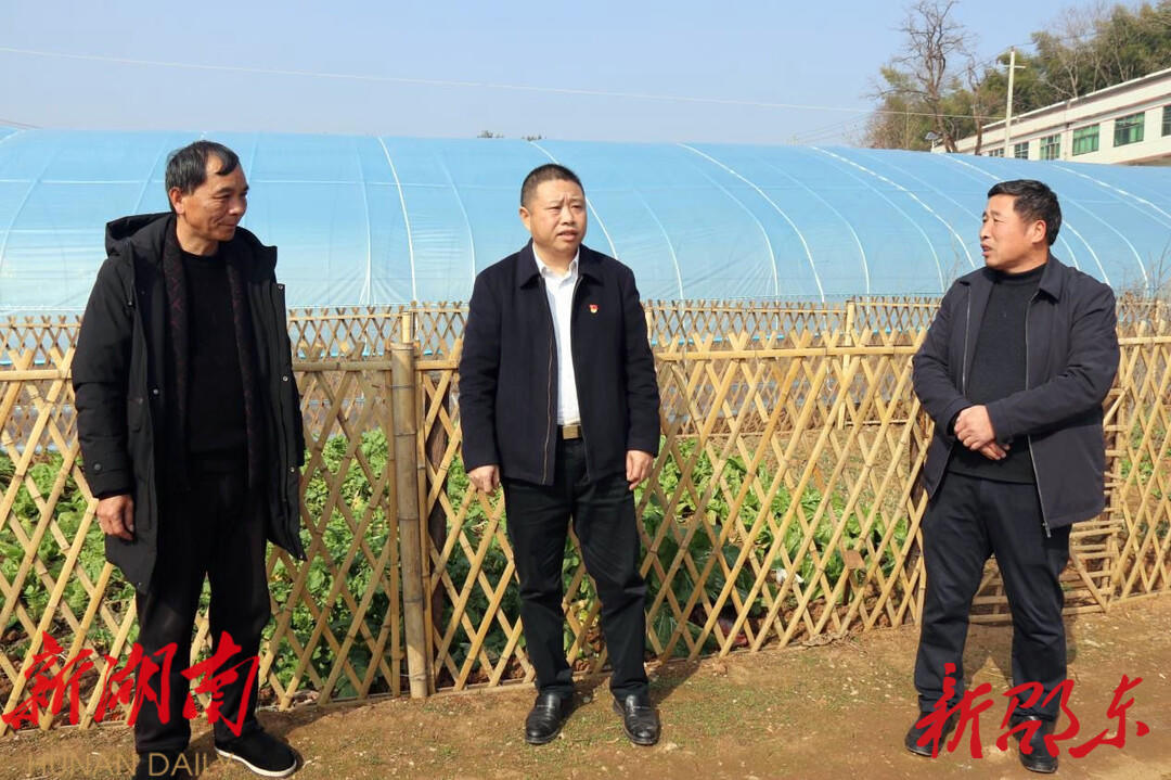 九龙岭镇:做强油茶特色产业 打造红色文旅小镇_邵阳头条网